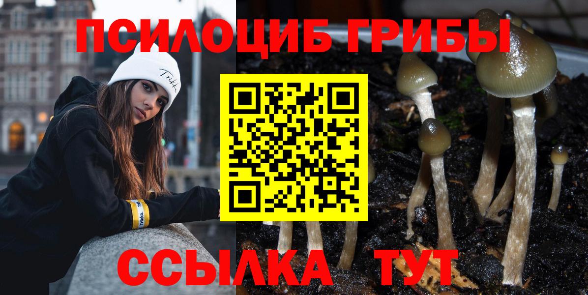 Кизилюрт  Псилоцибиновые грибы мицелий  Вход с VPN 