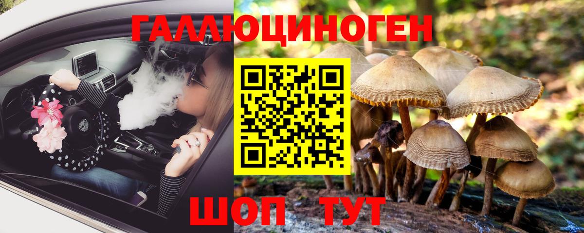 Псилоцибиновые грибы прущие грибы Кизилюрт